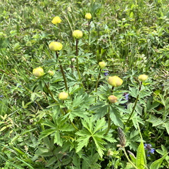 23-05-21 17-02-16 5537